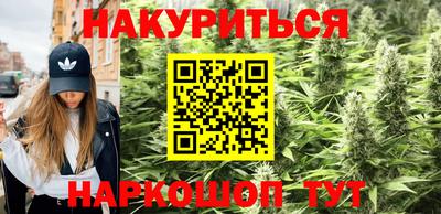стафф Нальчик
