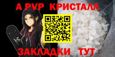 стафф Нальчик
