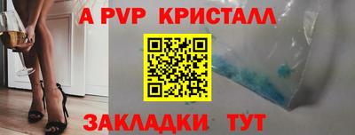 стафф Нальчик