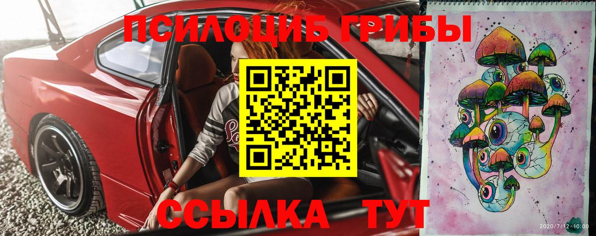 Усолье-Сибирское  наркотики  Вход с VPN  Псилоцибиновые грибы Psilocybe 