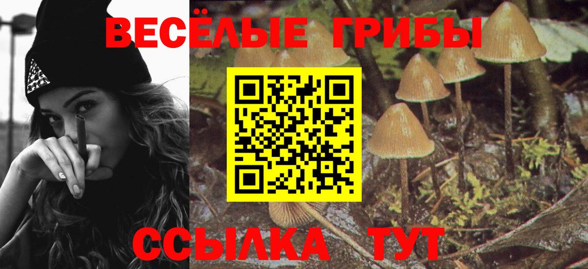 Псилоцибиновые грибы MAGIC MUSHROOMS Усолье-Сибирское